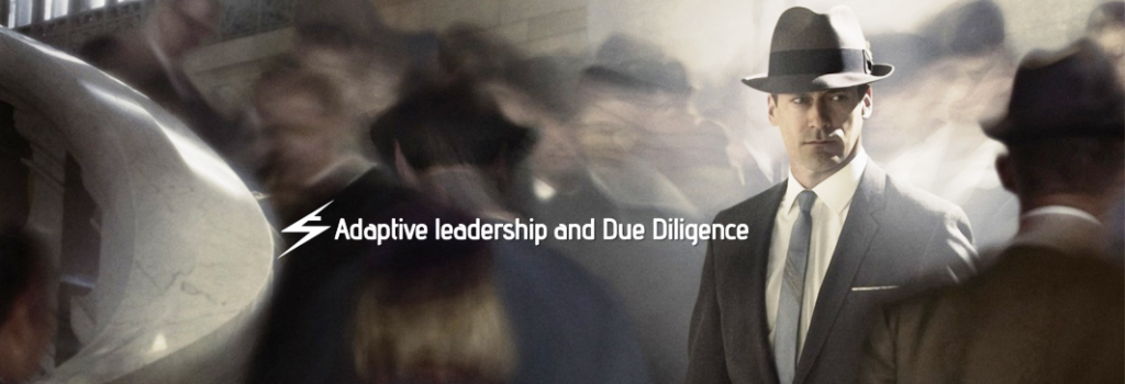 Adaptive leadership and Due Diligence