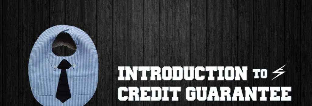 Introduction to Credit Guarantee for MSMEs